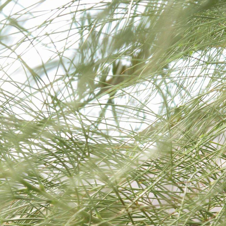 Le Spa Saint-Pierre à Valras-Plage