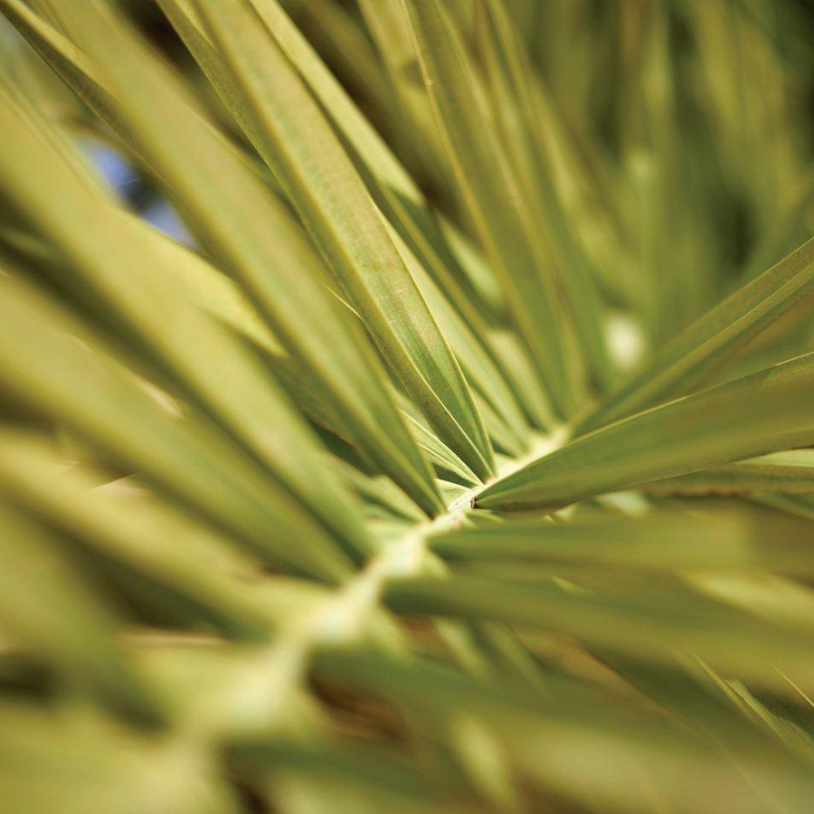 Le Spa Saint-Pierre à Valras-Plage